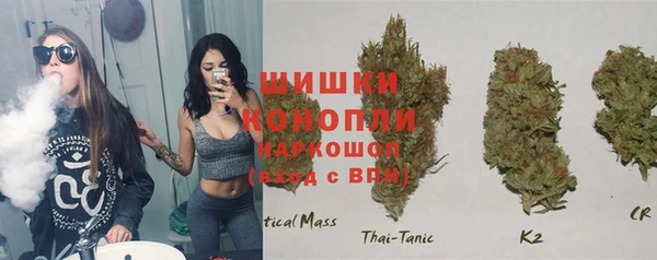 крисы Елизово