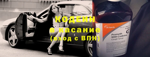 крисы Елизово