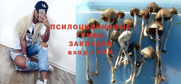 крисы Елизово