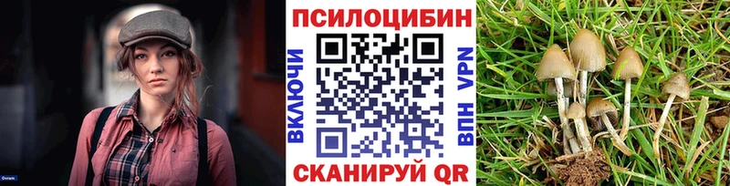 Галлюциногенные грибы прущие грибы  Купить  Калач-на-Дону 